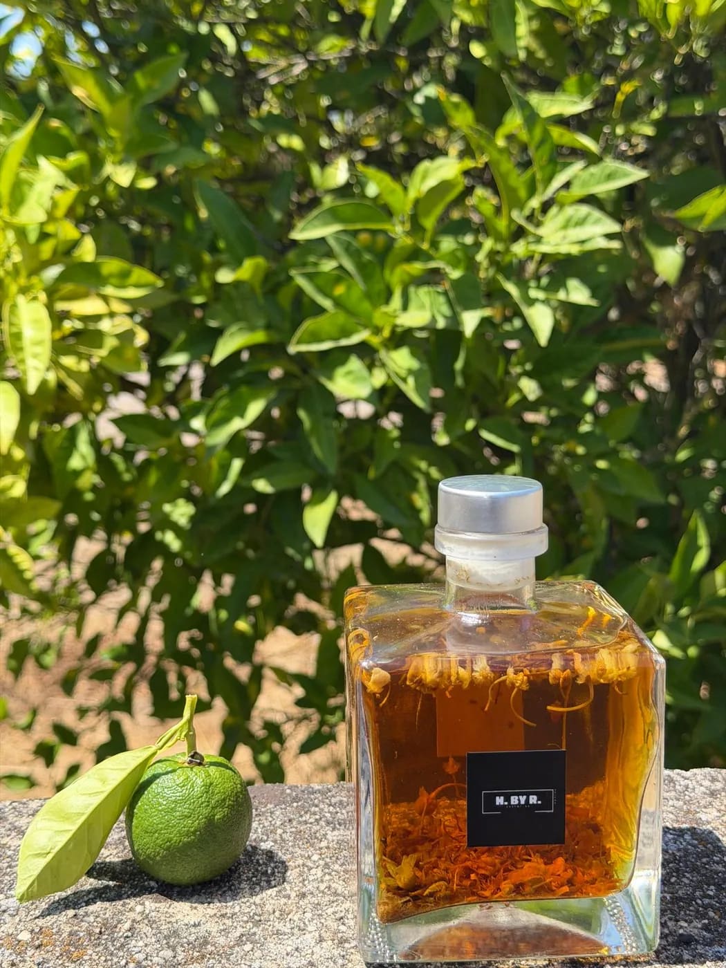 Essência Chamomile